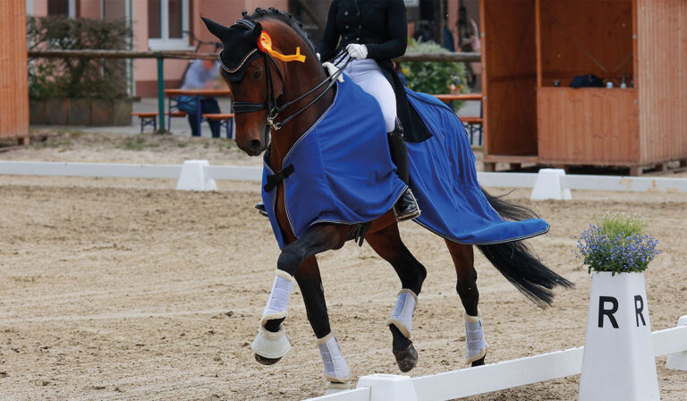 Horse Blanket Cleaning Services